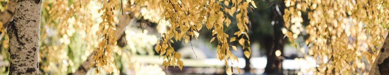 Aquatic Park in Fall