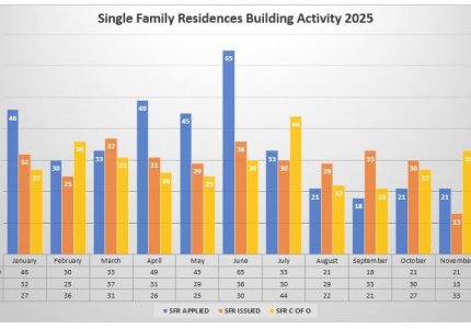 2025 Monthly activity