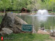 Water feature in the middle of a pond. 