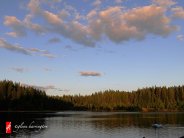 Partly cloudy day fishing in a boat on a lake