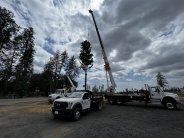 Branches being installed on Pearson and Pentz EWS Tower