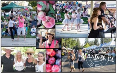 Collage of attendees and performers at the Party in the Park