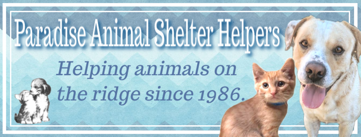 Paradise Animal Shelter Helpers helping animals on the ridge since 1986.