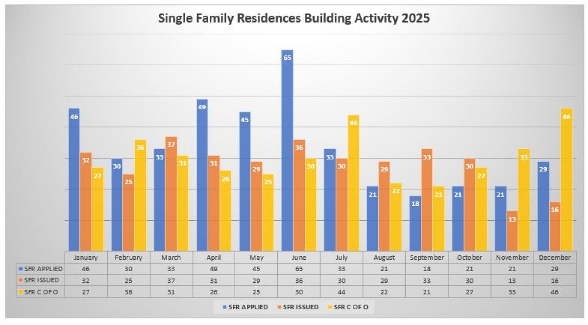 2025 Monthly activity
