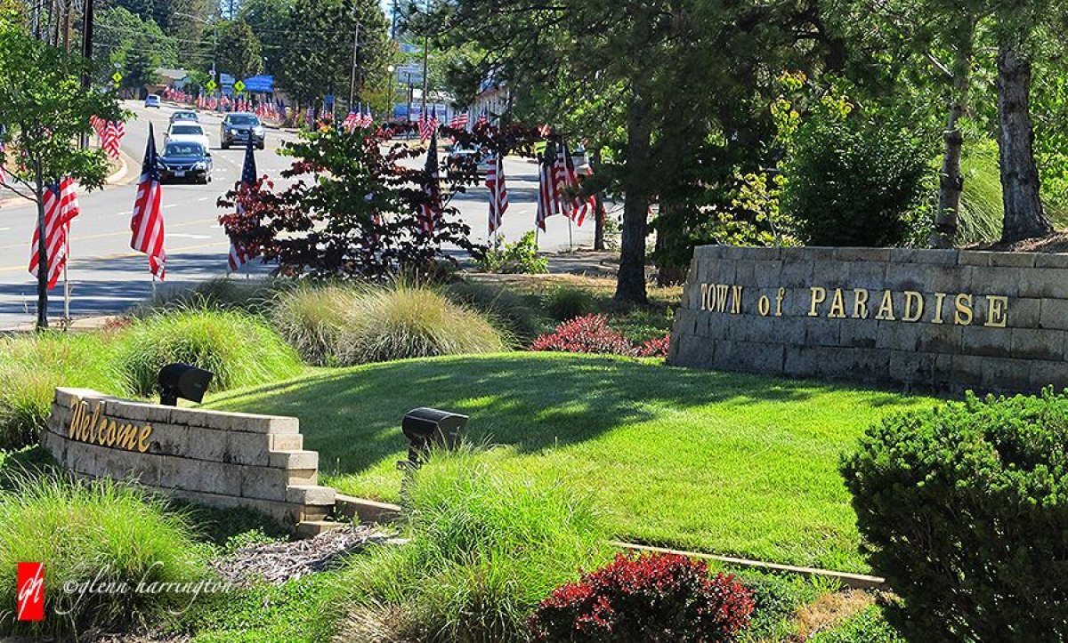 Plants and shrubs surround a Welcome to the Town of Paradise sign on a sunny day with flags lining the streets. 