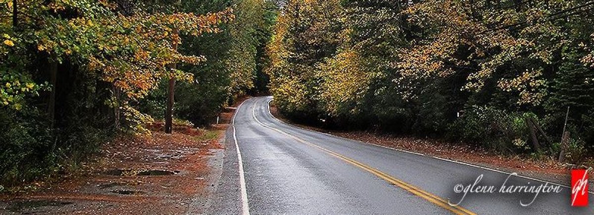 A picture of a two-lane road hugged by trees