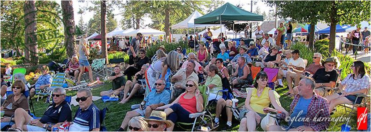 Picture of Paradise, CA residents attending "Party in the Park"
