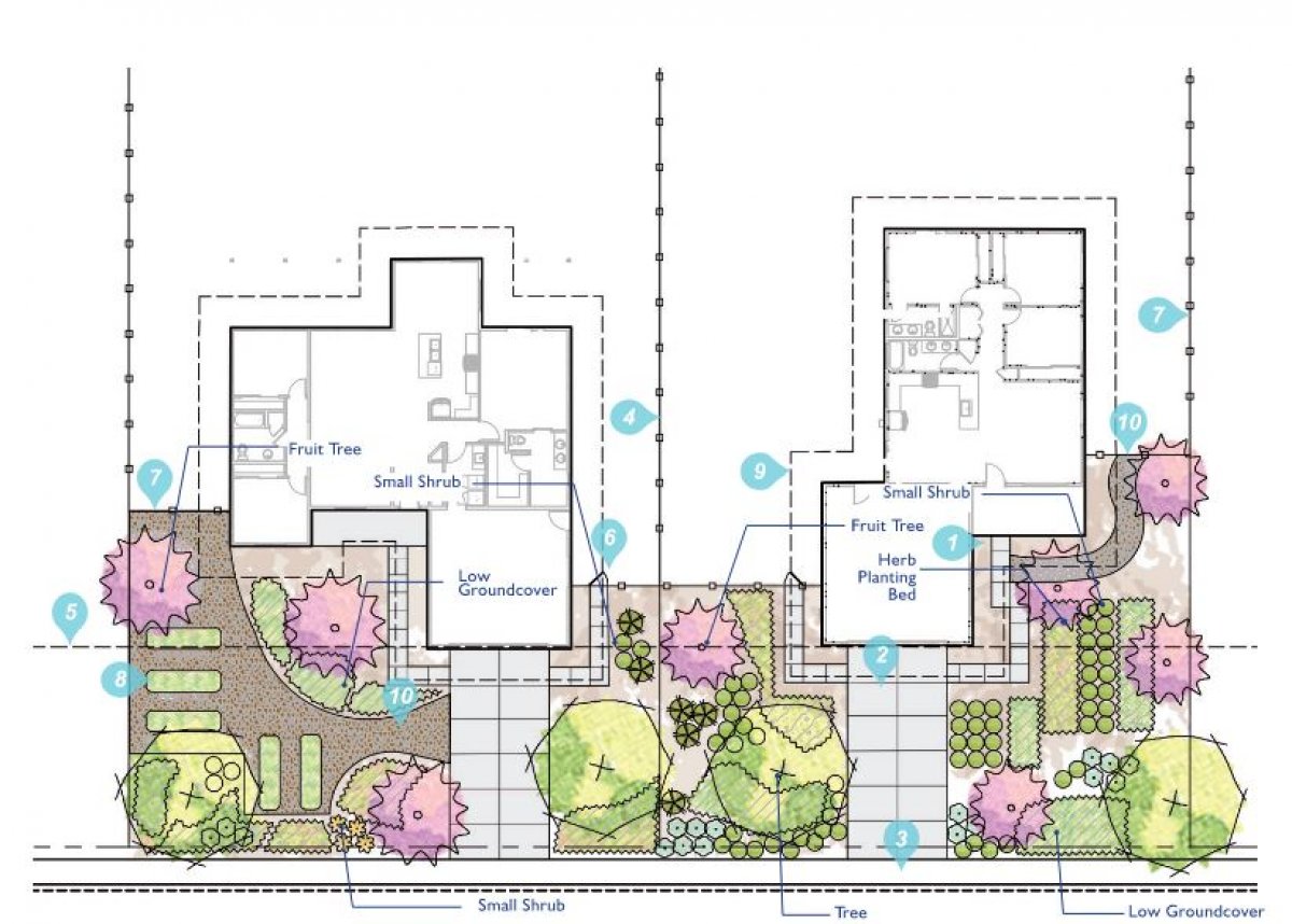 edible -habitat landscape plan