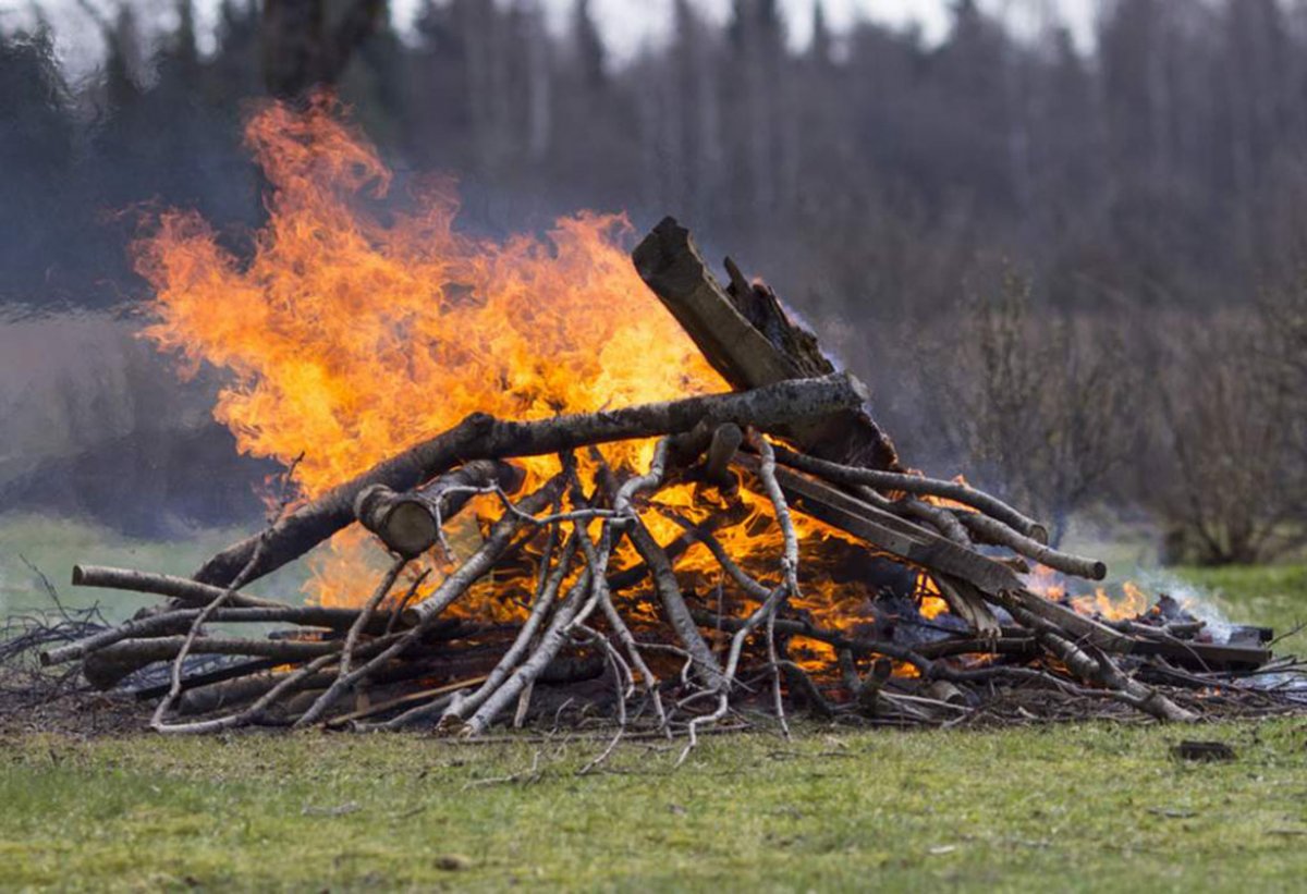 Burn Pile